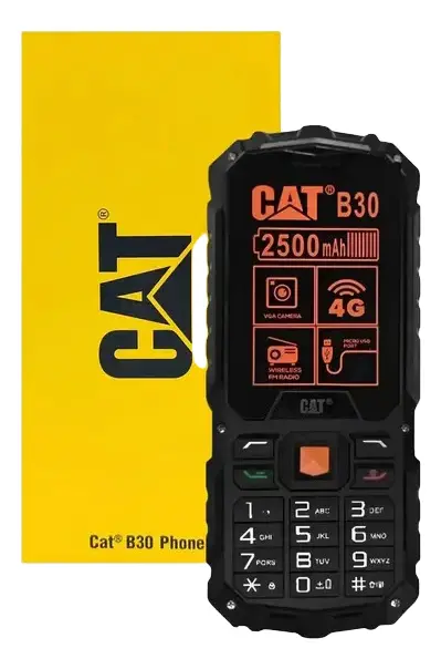 Celular Para Idosos Teclado Grande Capterpillar CAT B30 4G Preto