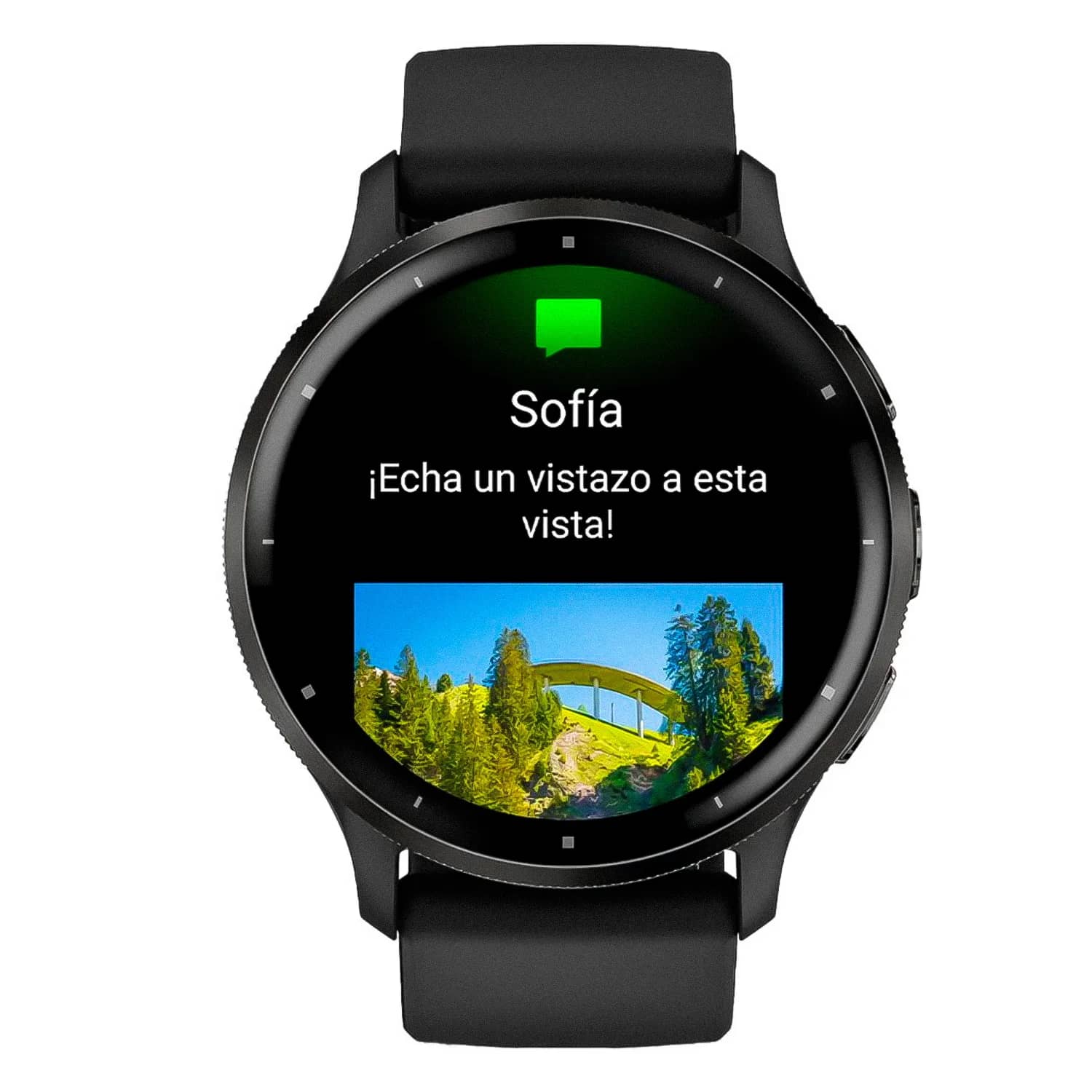Smartwatch Garmin Venu 3 010-02784-01 - Preto